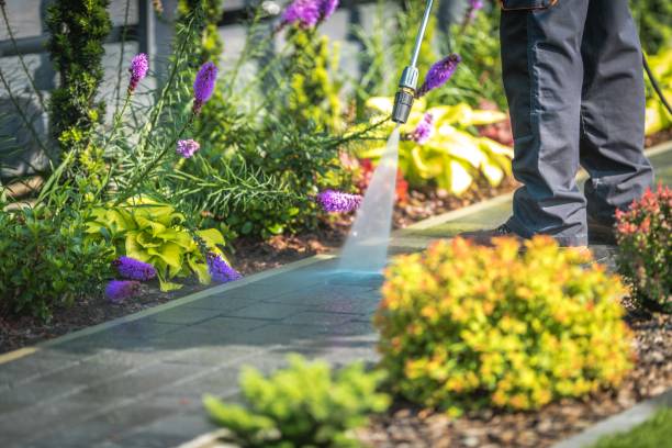 Best Winterizing Services  in Oakleaf Plantation, FL
