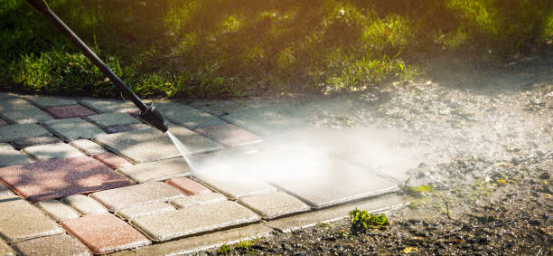 Best Driveway Pressure Washing  in Oakleaf Plantation, FL
